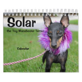 Manchester Terrier Small 2021 Agenda A Kalender (Hoes)