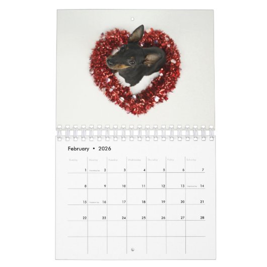 Manchester Terrier Small Calendar 2021 B Kalender (Feb 2026)
