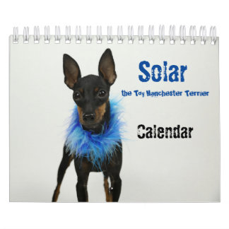 Manchester Terrier Small Calendar 2021 B Kalender