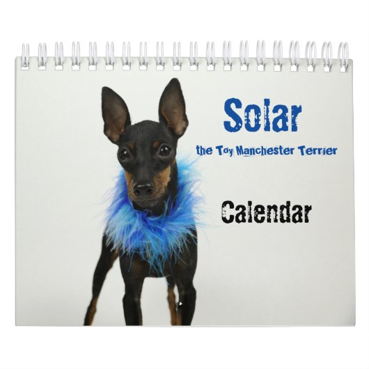 Manchester Terrier Small Calendar 2021 B Kalender (Hoes)