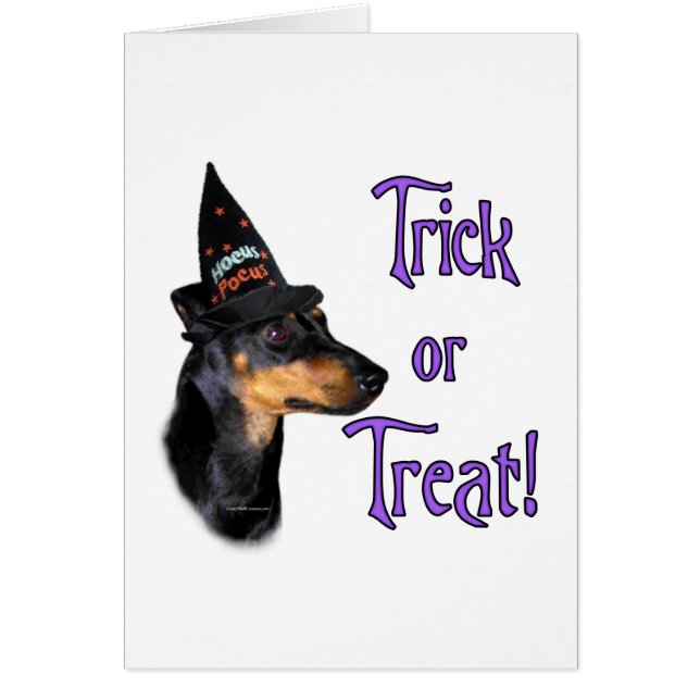 Manchester Terrier Trick (Voorkant)
