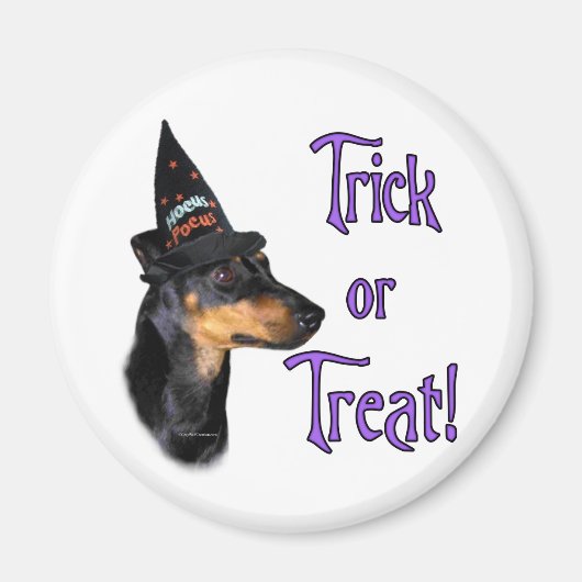 Manchester Terrier Trick Magneet (Voorkant)