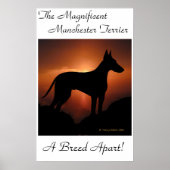 Manchester Terrier Unique Poster (Voorkant)