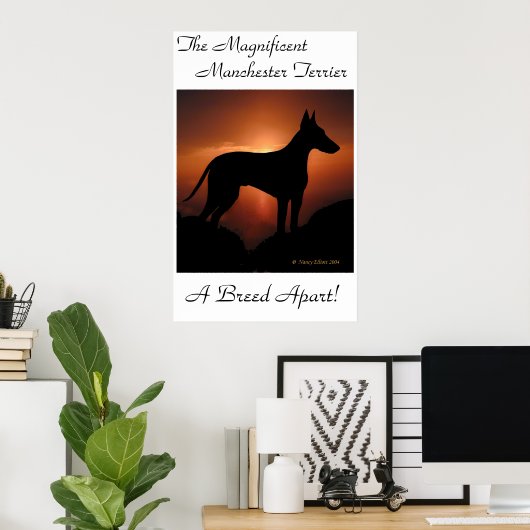 Manchester Terrier Unique Poster (Thuiskantoor)