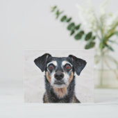 Manchester Terrier X - Jordan - Derr Briefkaart (Staand voorkant)