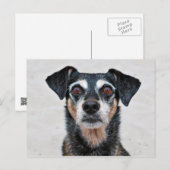 Manchester Terrier X - Jordan - Derr Briefkaart (Voorkant / Achterkant)