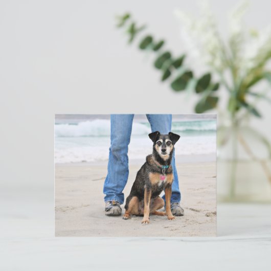 Manchester Terrier X - Jordan - Derr Briefkaart (Staand voorkant)