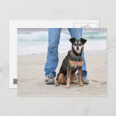 Manchester Terrier X - Jordan - Derr Briefkaart (Voorkant / Achterkant)