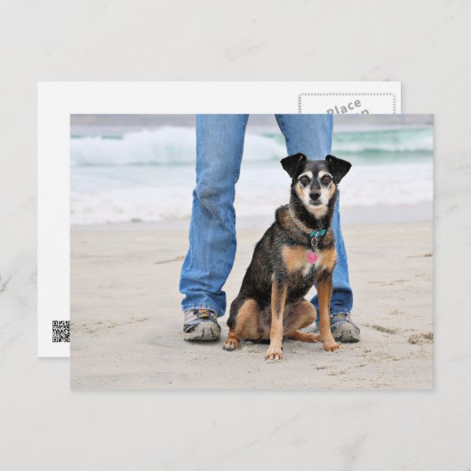 Manchester Terrier X - Jordan - Derr Briefkaart (Voorkant / Achterkant)