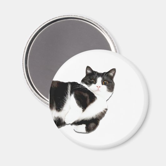 Manchester's "Hoi!" Magneet (Voorkant / Achterkant)