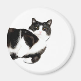 Manchester's "Hoi!" Magneet