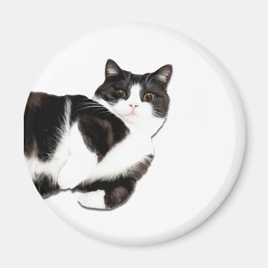 Manchester's "Hoi!" Magneet (Voorkant)