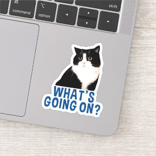 Manchester's WhatsGoingOn Sticker