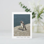 Manchot Briefkaart (Staand voorkant)