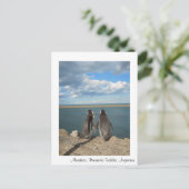 Manchots Briefkaart (Staand voorkant)