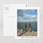 Manchots Briefkaart (Voorkant / Achterkant)