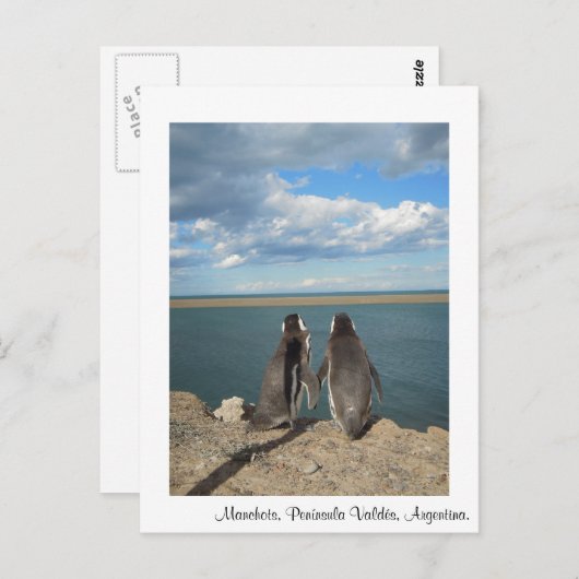 Manchots Briefkaart (Voorkant / Achterkant)