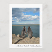 Manchots Briefkaart (Voorkant)