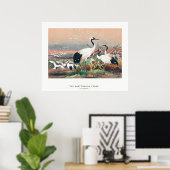 Manchurische Kraanvogel Poster (Thuiskantoor)