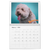 Mancini's slaapwereld 2020 - kalender (Feb 2026)