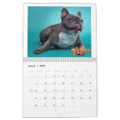 Mancini's slaapwereld 2020 - kalender (Mar 2027)