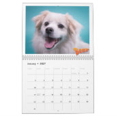 Mancini's slaapwereld 2020 - kalender (Jan 2027)