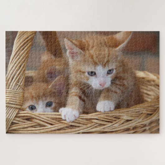 mand kittens puzzel (Horizontaal)
