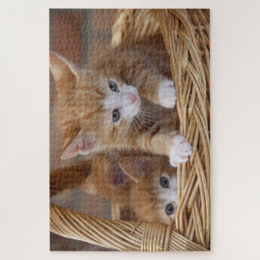 mand kittens puzzel (Verticaal)