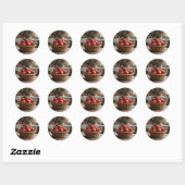 Mand met Rode Appels Ronde Sticker (Vel)