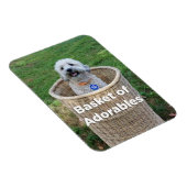 Mand van Adorables Schattig Dogs 4 Hillary Magnet Magneet (Rechterzijde)
