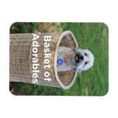 Mand van Adorables Schattig Dogs 4 Hillary Magnet Magneet (Horizontaal)