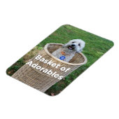 Mand van Adorables Schattig Dogs 4 Hillary Magnet Magneet (Linkerzijde)