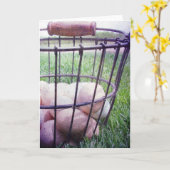 Mand van eieren Alle gelegenheden Groet Kaart (Gele Bloem)