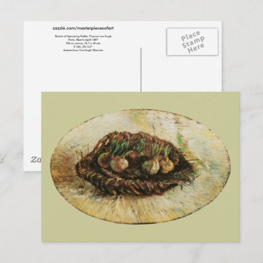 Mand van Sprouting Bulbs, Vincent van Gogh Briefkaart (Voorkant / Achterkant)