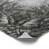 Mandala van de winter poster (Hoek)