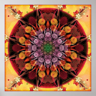 Mandalas for Times of Transition 6 Poster