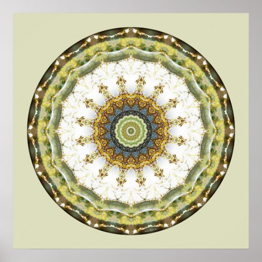 Mandalas from the Heart of Peace, nr. 5 Poster (Voorkant)