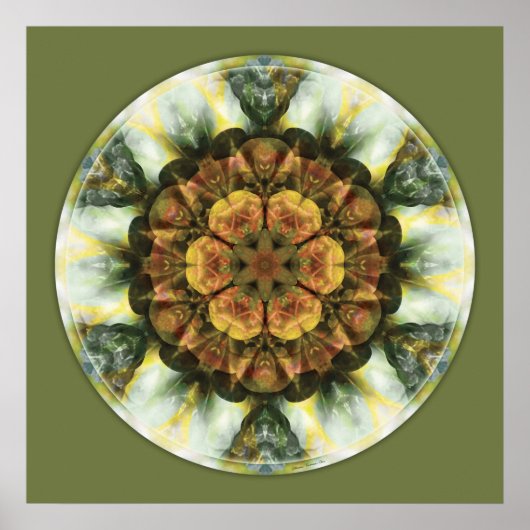 Mandalas from the Heart of Peace, nr. 9 Poster (Voorkant)