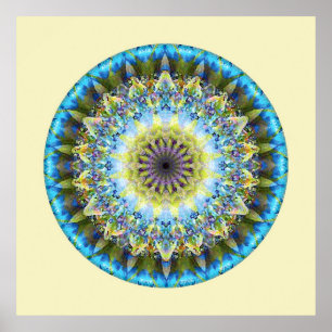 Mandalas from the Heart of Transformation, nr. 8 Poster