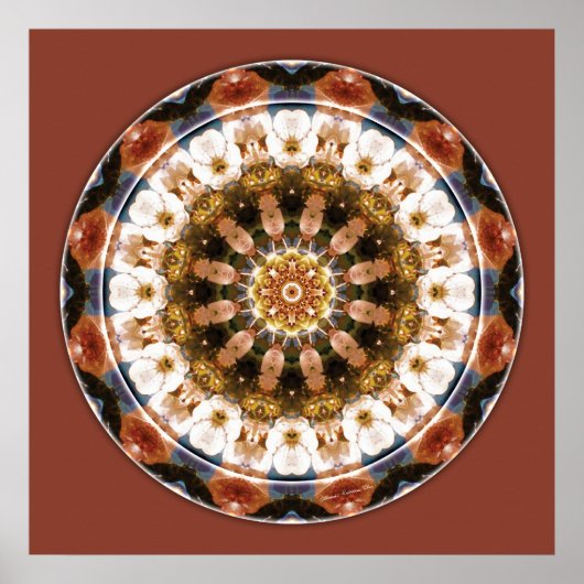 Mandalas of Deep Trust, nr. 11 Poster (Voorkant)