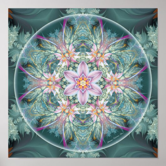 Mandalas of Forgisive and Release 28 Poster (Voorkant)