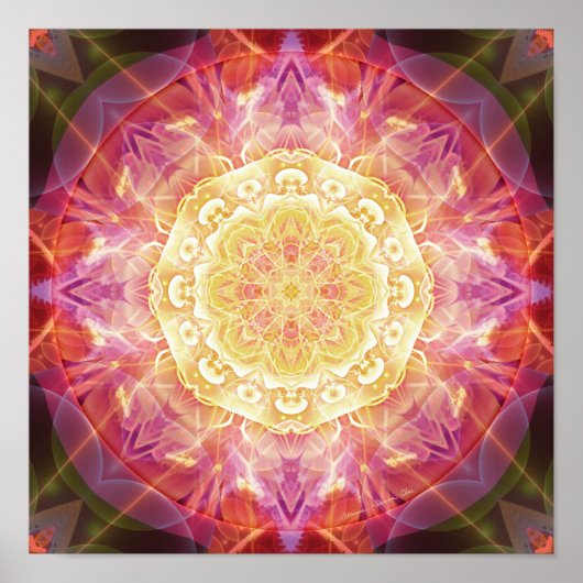 Mandalas of Forgisive and Release 9 Poster (Voorkant)
