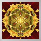 Mandalas voor Transition 8 Poster (Voorkant)