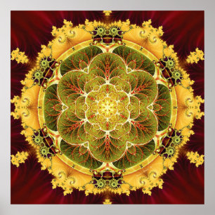 Mandalas voor Transition 8 Poster