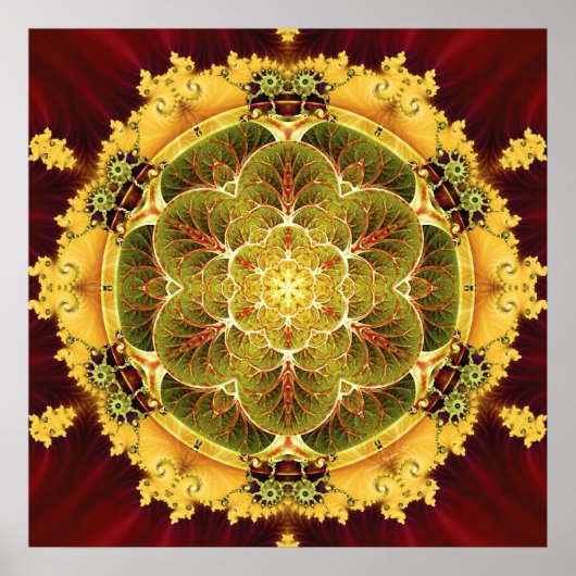 Mandalas voor Transition 8 Poster (Voorkant)