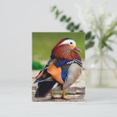Mandarijn Duck (Aix galericulata) Briefkaart (Staand voorkant)