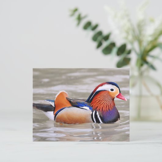 Mandarijn Duck (Aix galericulata) Briefkaart (Staand voorkant)