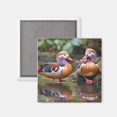 Mandarijn eend dier vogel wilde dieren wilde natuu magneet (Voorkant / Achterkant)