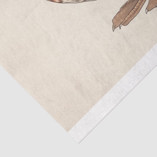 Mandarijn Eend Ornithologie Decoupage Print Tissuepapier (Detail)