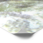 Mandarijn Fish Poster (Hoek)